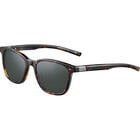 AXIN, Havana Shiny-Axis Polarized, hi-res